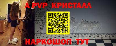 спиды Гусев