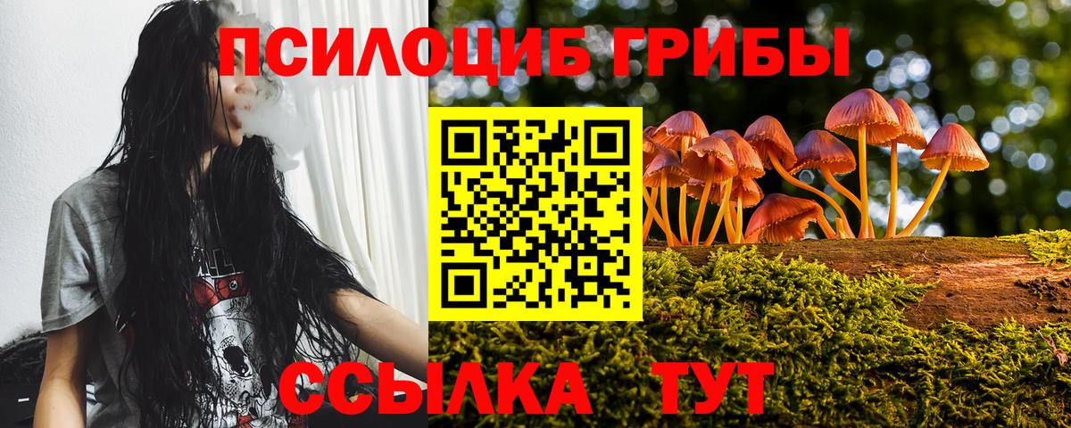 как найти закладки  Псилоцибиновые грибы Psilocybe  Вход с VPN  Луга 